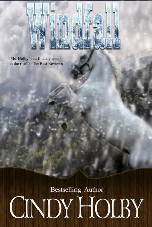Cover of the book Windfall by Kassy Tayler