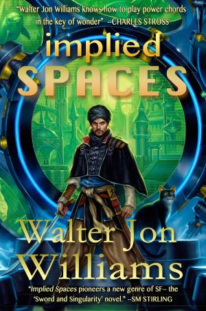 Book cover of Implied Spaces