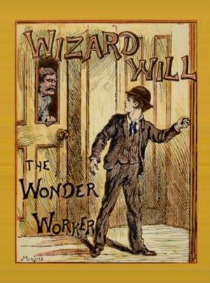 Book cover of Wizard Will