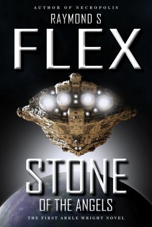Cover of the book Stone Of The Angels by Raymond S Flex