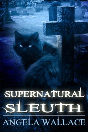 Cover of the book Supernatural Sleuth, Case File #1 by Sandra Baublitz