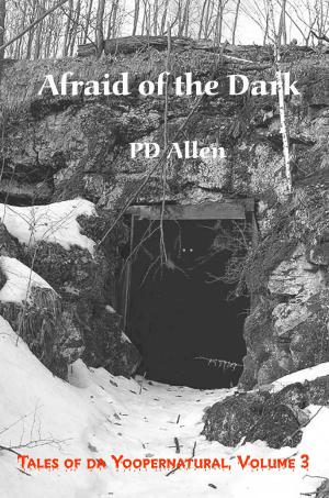 bigCover of the book Afraid of the Dark by 
