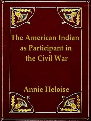 Book cover of The American Indian as Participant in the Civil War