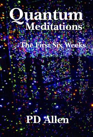 Cover of the book Quantum Meditations; The First Six Weeks by Matthew Weintrub