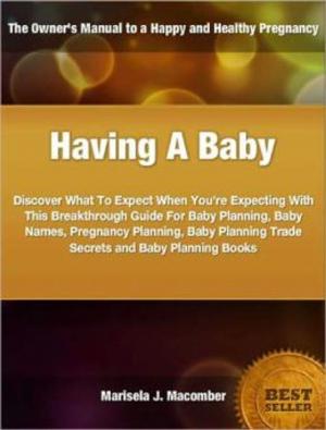 Cover of the book Having A Baby by Evelyn R. Mulloy