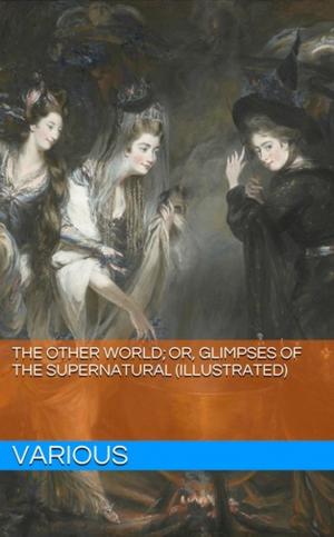 Cover of the book The Other World; or, Glimpses of the Supernatural (Illustrated) by Sarah N. Randolph