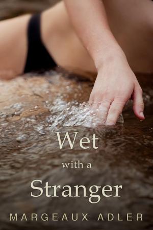 Cover of the book Wet with a Stranger by Margeaux Adler