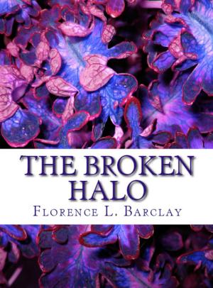 Book cover of The Broken Halo