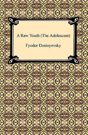 Cover of the book A Raw Youth by Emanuel Haldeman-Julius, Anna Marcet Haldeman-Julius