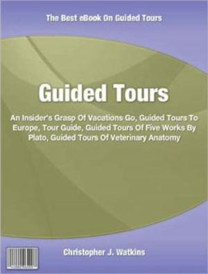 Cover of the book Guided Tours by Judith Phifer