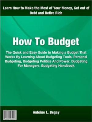 Cover of the book How To Budget by Ronald Dey