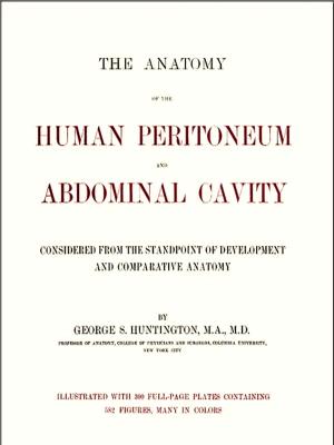Book cover of The Anatomy of the Human Peritoneum and Abdominal Cavity