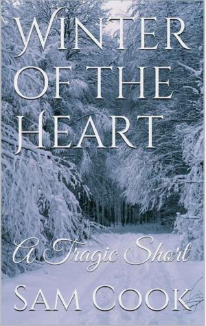 Cover of the book Winter of the Heart by S.D. Falchetti