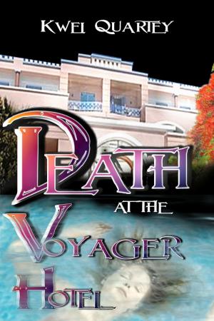 Book cover of Death at the Voyager Hotel
