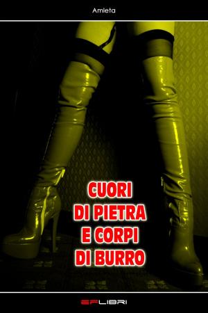 Cover of the book CUORI DI PIETRA E CORPI DI BURRO by Daisy Ryder