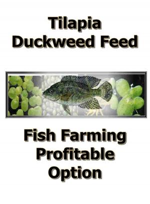 Book cover of Duckweed Profitable Feed for Tilapia Farming