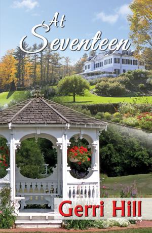 Cover of the book At Seventeen by Diana Simmonds