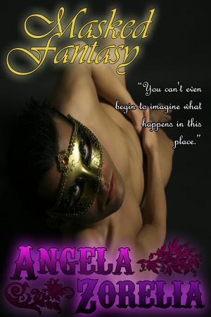 Book cover of Masked Fantasy