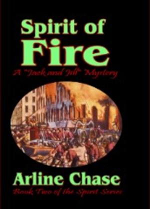 Cover of the book Spirit of Fire: Spirit Series, Vol. 2 by Robin Chawner