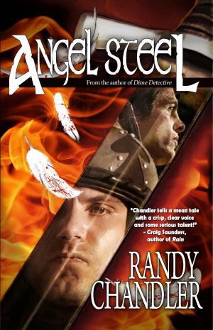 Book cover of Angel Steel