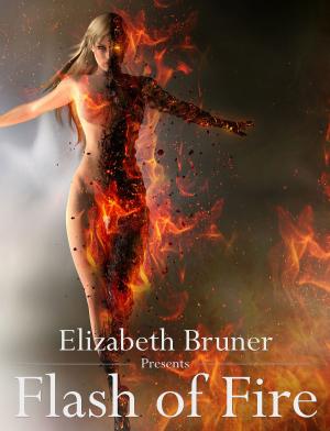 Cover of the book Flash of Fire by Jessica Marting