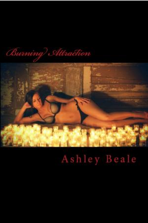 Cover of Burning Attraction