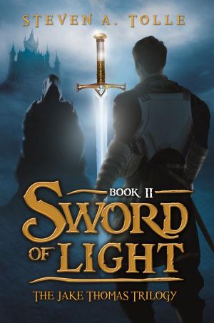 Cover of the book Sword of Light by Chad Queen