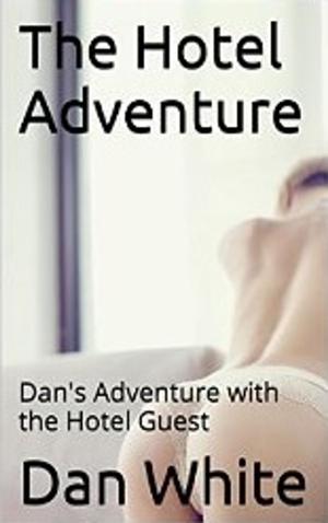 Cover of the book The Hotel Adventure by Paul D Kennedy