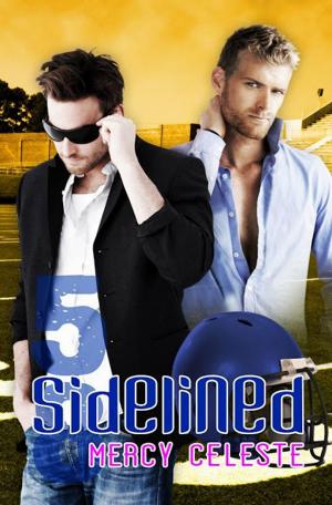 Cover of the book Sidelined by Mark Delahunty