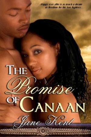 Cover of the book The Promise of Canaan by Willa Blair