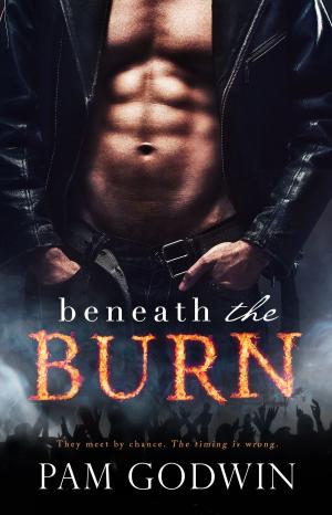 Cover of the book Beneath the Burn by JB Salsbury