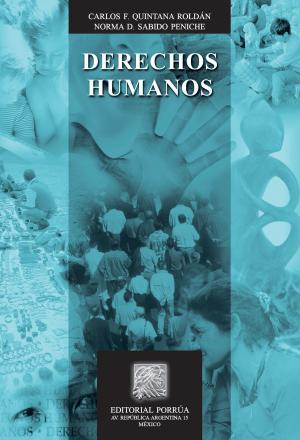 Cover of the book Derechos humanos by Editorial Porrúa