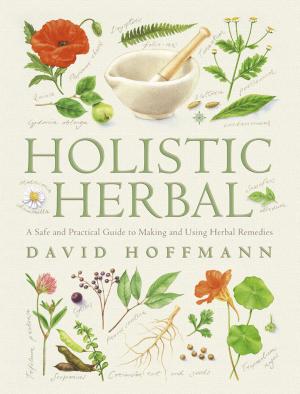 Book cover of Holistic Herbal: A Safe and Practical Guide to Making and Using Herbal Remedies