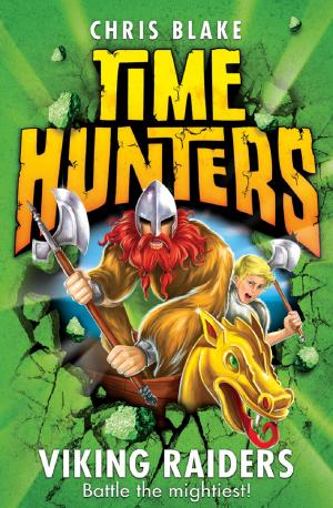 Cover of the book Viking Raiders (Time Hunters, Book 3) by Barbara Currie
