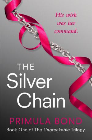 Cover of the book The Silver Chain (Unbreakable Trilogy, Book 1) by Des Lynam