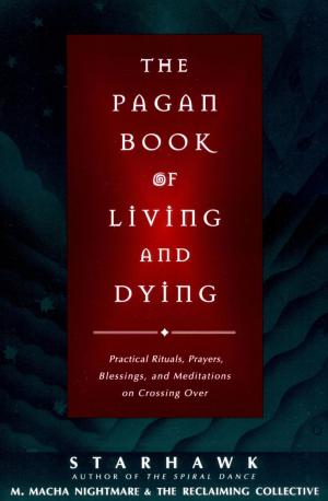 bigCover of the book The Pagan Book of Living and Dying by 