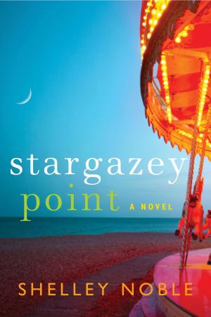 Cover of the book Stargazey Point by Ben Thompson