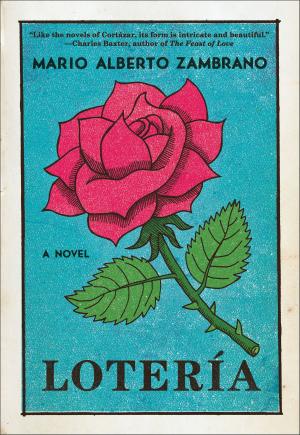 Cover of the book Loteria by Tiffini Johnson