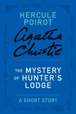 Cover of the book The Mystery of Hunter's Lodge by Stephen Booth