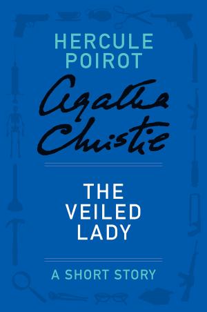 Cover of the book The Veiled Lady by Leigh Russell
