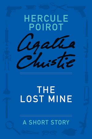Cover of the book The Lost Mine by Rebecca Tope