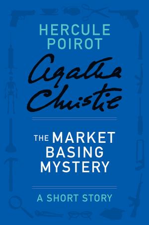Cover of the book The Market Basing Mystery by Stephen Booth