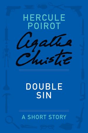 Cover of the book Double Sin by Kristi Belcamino