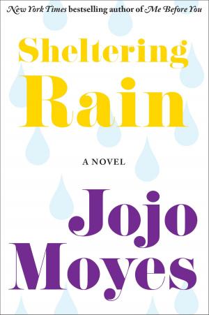 Cover of the book Sheltering Rain by Maureen McKade