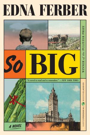 Cover of the book So Big by Lou Ann Walker