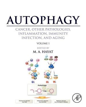 Cover of the book Autophagy: Cancer, Other Pathologies, Inflammation, Immunity, Infection, and Aging by Tim D. White, Michael T. Black, Pieter A. Folkens