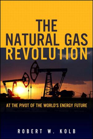 Cover of the book The Natural Gas Revolution by Scott Empson, Patrick Gargano, Hans Roth