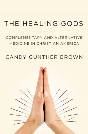 Cover of the book The Healing Gods by Sara de Jong