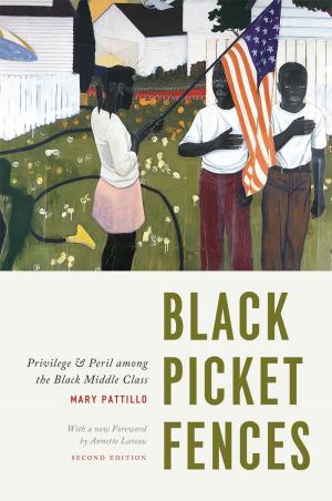 Cover of the book Black Picket Fences, Second Edition by Colin Ong-Dean