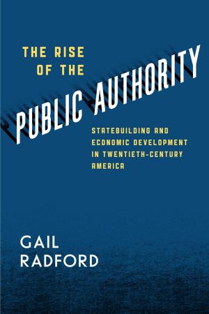 Cover of the book The Rise of the Public Authority by Mark Johnson